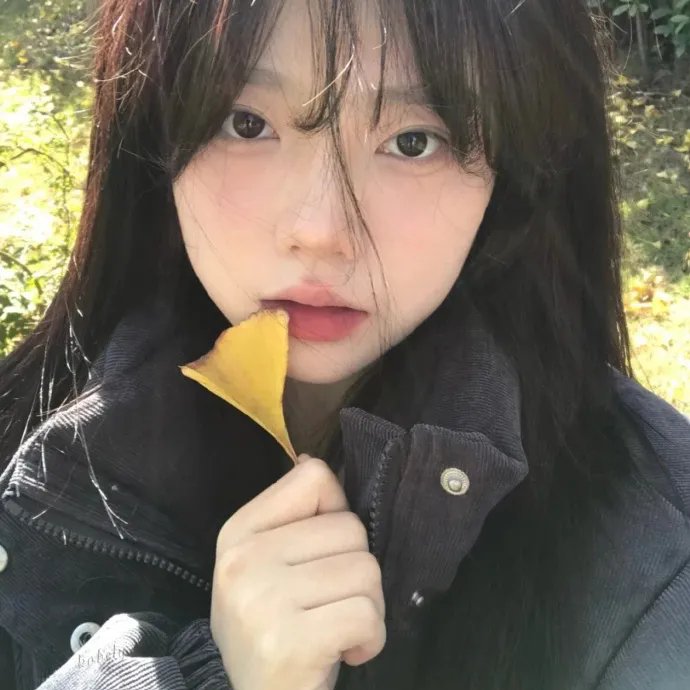 首尔假期